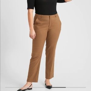 Ryan Curvy Banana Republic Factory